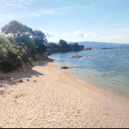 Magnifique T2 Ajaccio Apartment Аячо Екстериор снимка